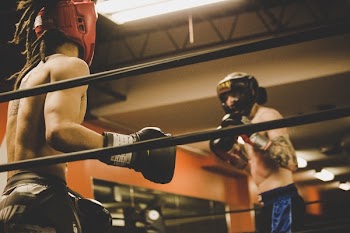 Free Photo of people, men, boxing