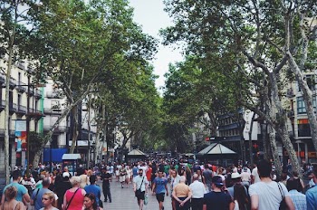 Free Photo of people, men, women