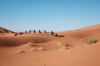 Free Photo of people, ride, walking