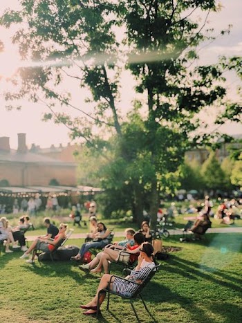 Free Photo of people, sitting, park