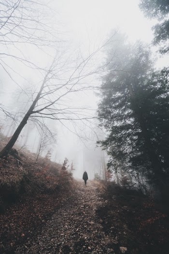 Free Photo of people, travel, adventure
