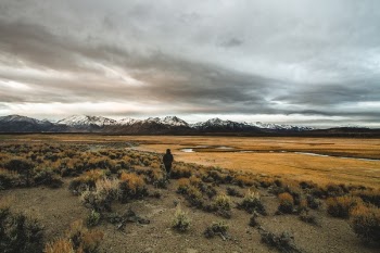 Free Photo of people, walking, hiking