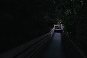 Free Photo of people, walking, travel