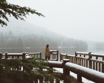 Free Photo of people, woman, alone