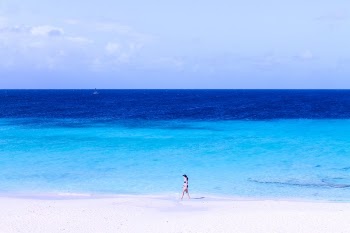 Free Photo of people, woman, alone