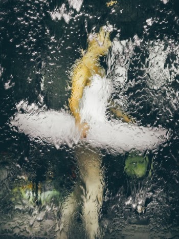 Free Photo of people, woman, ballet