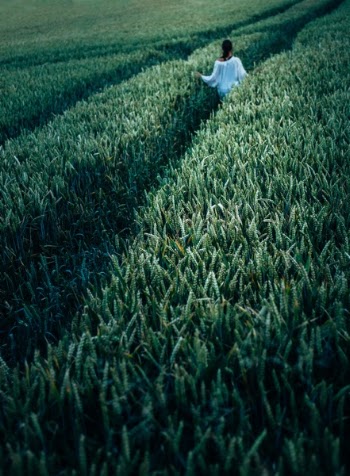 Free Photo of people, woman, field