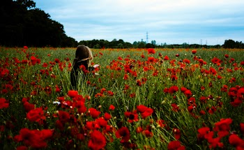 Free Photo of people, woman, girl