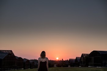 Free Photo of people, woman, girl