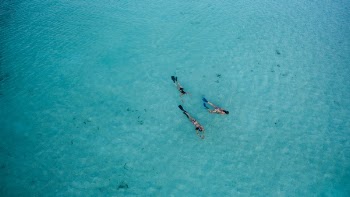 Free Photo of people, woman, swimsuit
