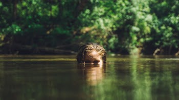 Free Photo of people, woman, underwater