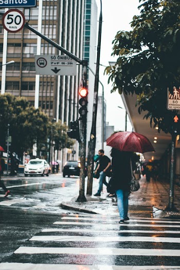 Free Photo of people, woman, urban
