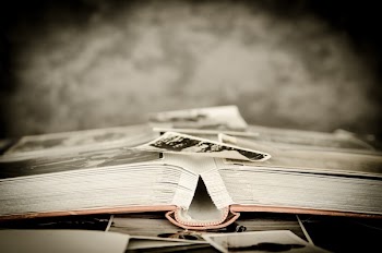Free Photo of photo album, album, photographs