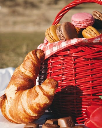 Free Photo of picnic, food, bread