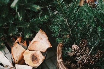 Free Photo of pine cone, crops, leaves