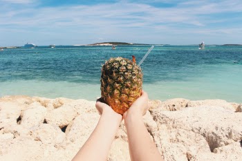 Free Photo of pineapple, dessert, appetizer