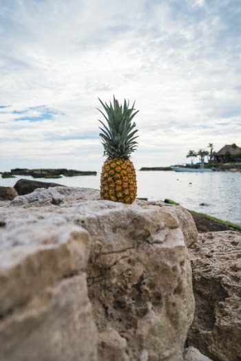 Free Photo of pineapple, dessert, appetizer