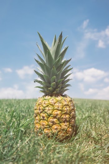 Free Photo of pineapple, dessert, appetizer
