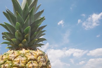 Free Photo of pineapple, dessert, appetizer