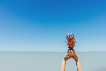 Free Photo of pineapple, dessert, appetizer