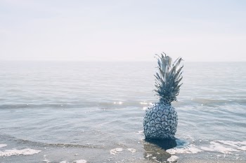 Free Photo of pineapple, dessert, appetizer