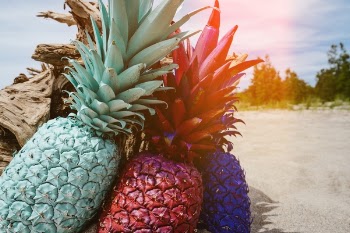 Free Photo of pineapple, dessert, appetizer