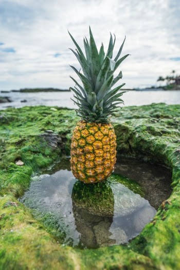 Free Photo of pineapple, dessert, appetizer