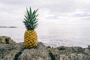 Free Photo of pineapple, dessert, appetizer