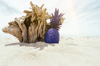 Free Photo of pineapple, dessert, appetizer