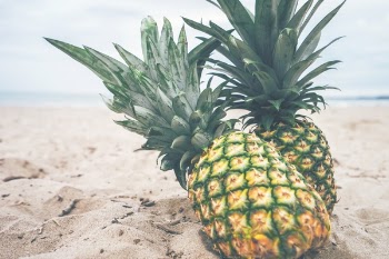 Free Photo of pineapple, dessert, appetizer