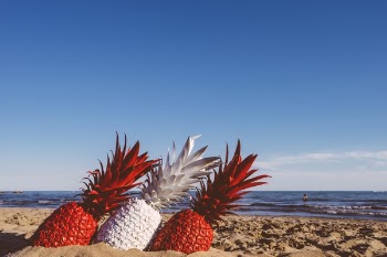 Free Photo of pineapple, dessert, appetizer