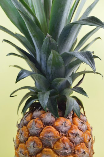 Free Photo of pineapple, dessert, appetizer