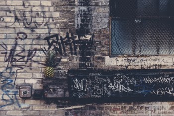 Free Photo of pineapple, dessert, appetizer