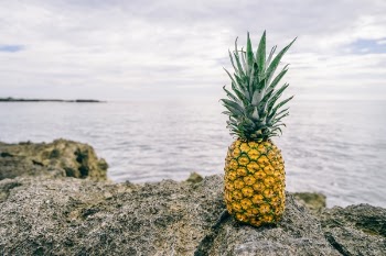 Free Photo of pineapple, dessert, appetizer