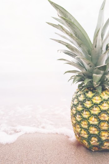 Free Photo of pineapple, dessert, appetizer