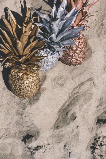 Free Photo of pineapple, dessert, appetizer
