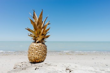 Free Photo of pineapple, dessert, appetizer