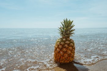 Free Photo of pineapple, dessert, appetizer
