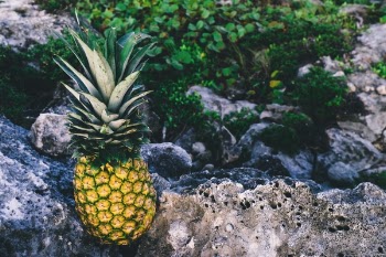 Free Photo of pineapple, dessert, appetizer