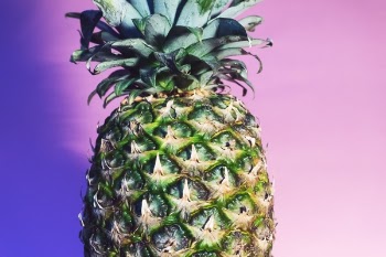 Free Photo of pineapple, dessert, appetizer