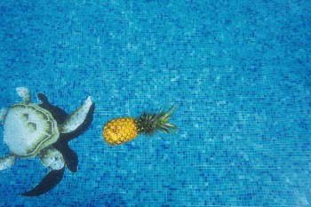 Free Photo of pineapple, dessert, appetizer