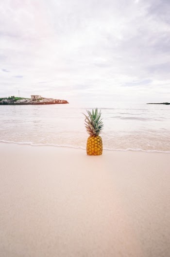 Free Photo of pineapple, dessert, appetizer