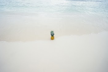 Free Photo of pineapple, dessert, appetizer