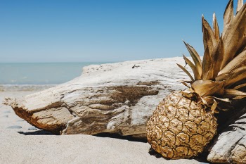 Free Photo of pineapple, dessert, appetizer