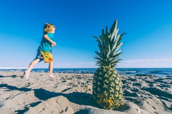 Free Photo of pineapple, dessert, appetizer