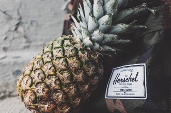 Free Photo of pineapple, dessert, appetizer