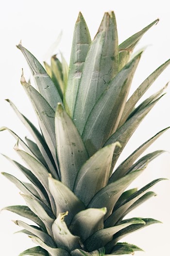 Free Photo of pineapple, dessert, appetizer