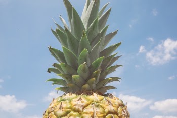 Free Photo of pineapple, dessert, appetizer
