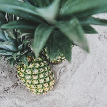 Free Photo of pineapple, dessert, appetizer