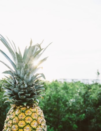 Free Photo of pineapple, dessert, appetizer